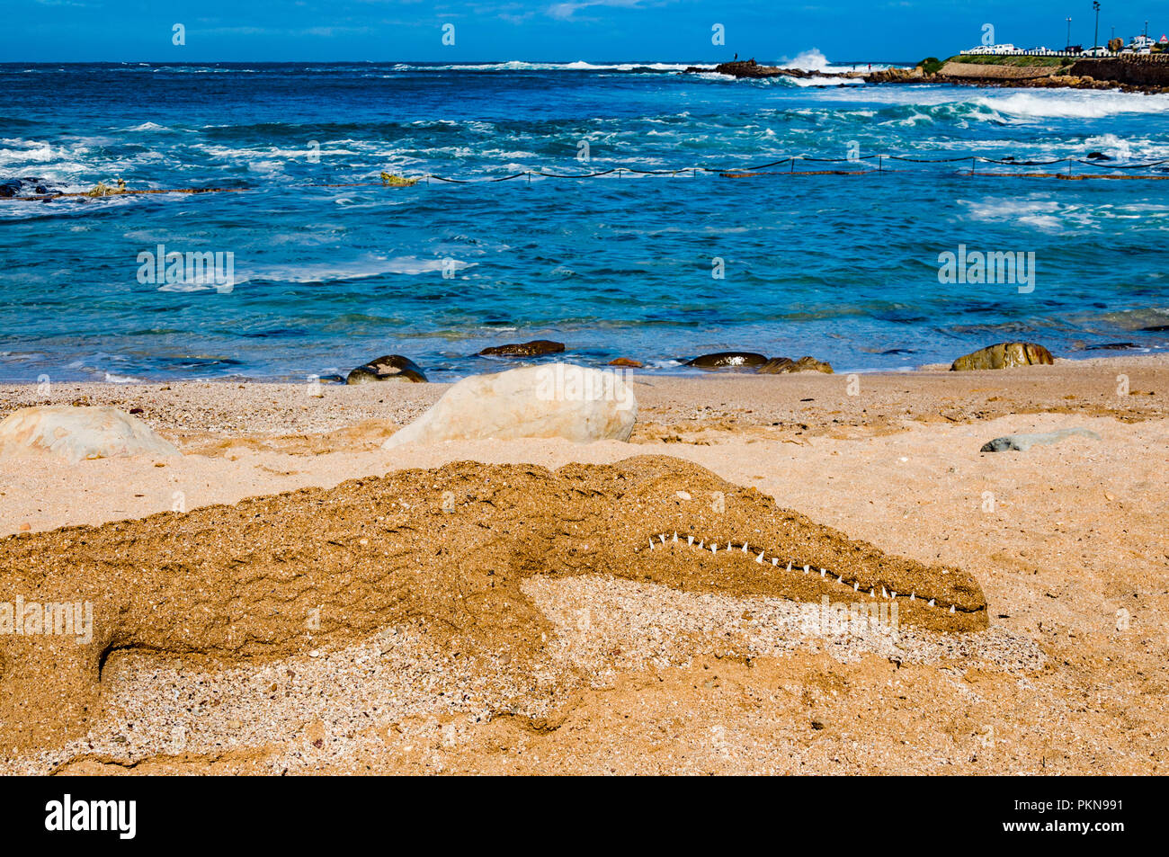 Un coccodrillo di sabbia con denti affilati su un Sud Atlantico Ocean Beach, Sud Africa Foto Stock
