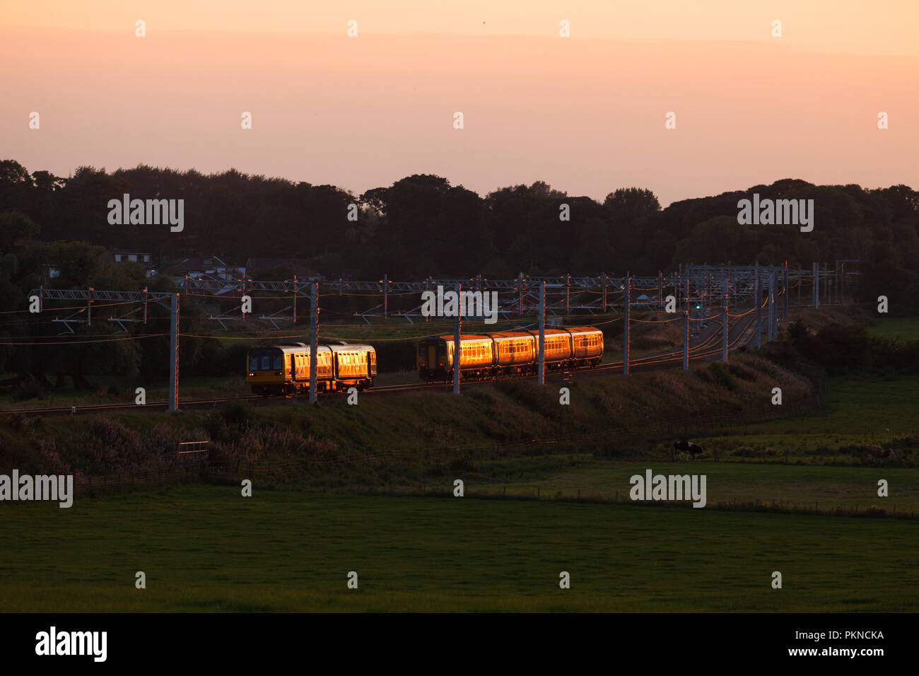 Nord classe rampa 156 sprinter treni che transitano a una classe 142 pacer a Kirkham & Wesham su Preston a Blackpool linea ferroviaria glinting al tramonto Foto Stock