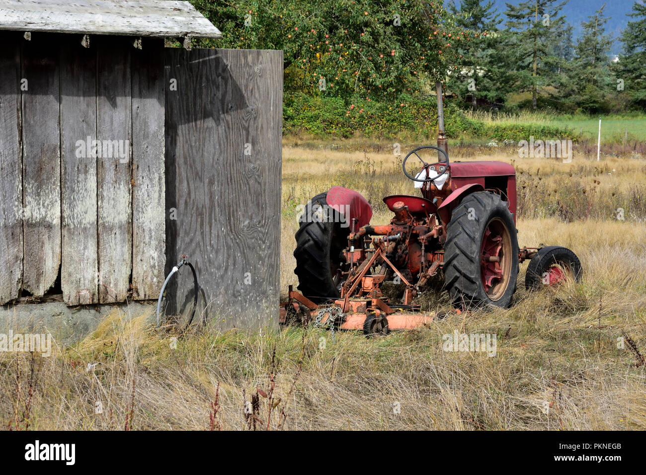Il trattore rimane inattivo in un campo di fattoria. Foto Stock