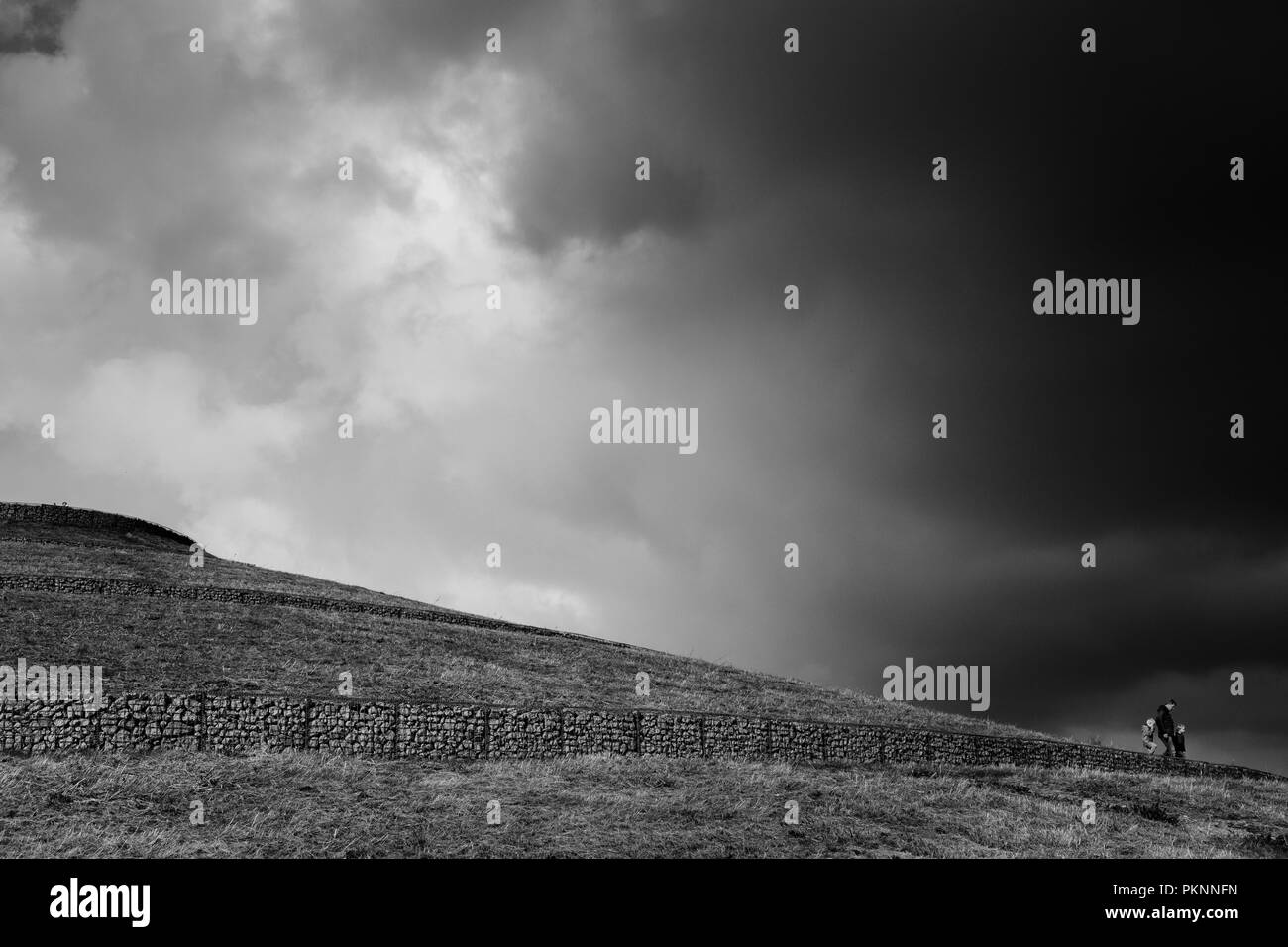 Collinette artificiali costruite a partire da rifiuti e macerie dallo stadio di Wembley & White City sono diventati una serie di quattro tumuli (colline) in un parco unico NW Londra Foto Stock