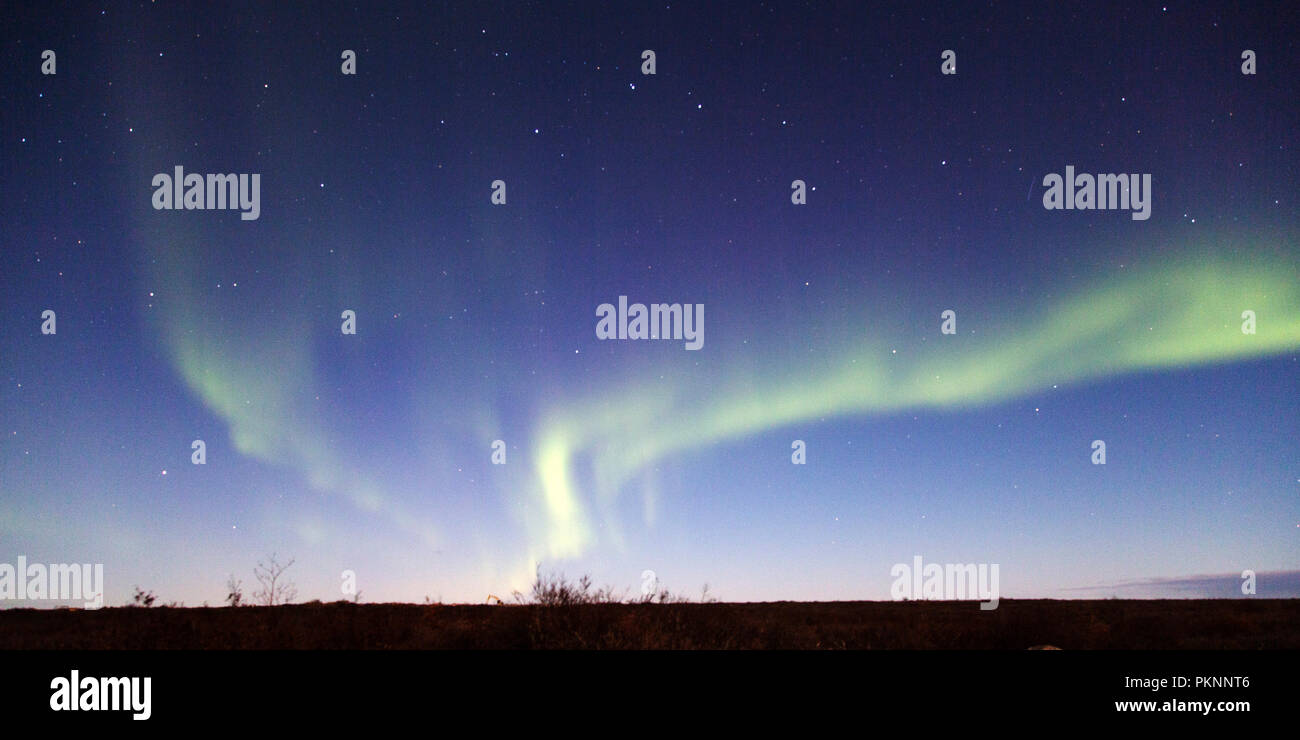 Le luci del nord in un cielo stellato in Manitoba, Canada. Il fenomeno è noto anche come l'Aurora Boreale. Foto Stock