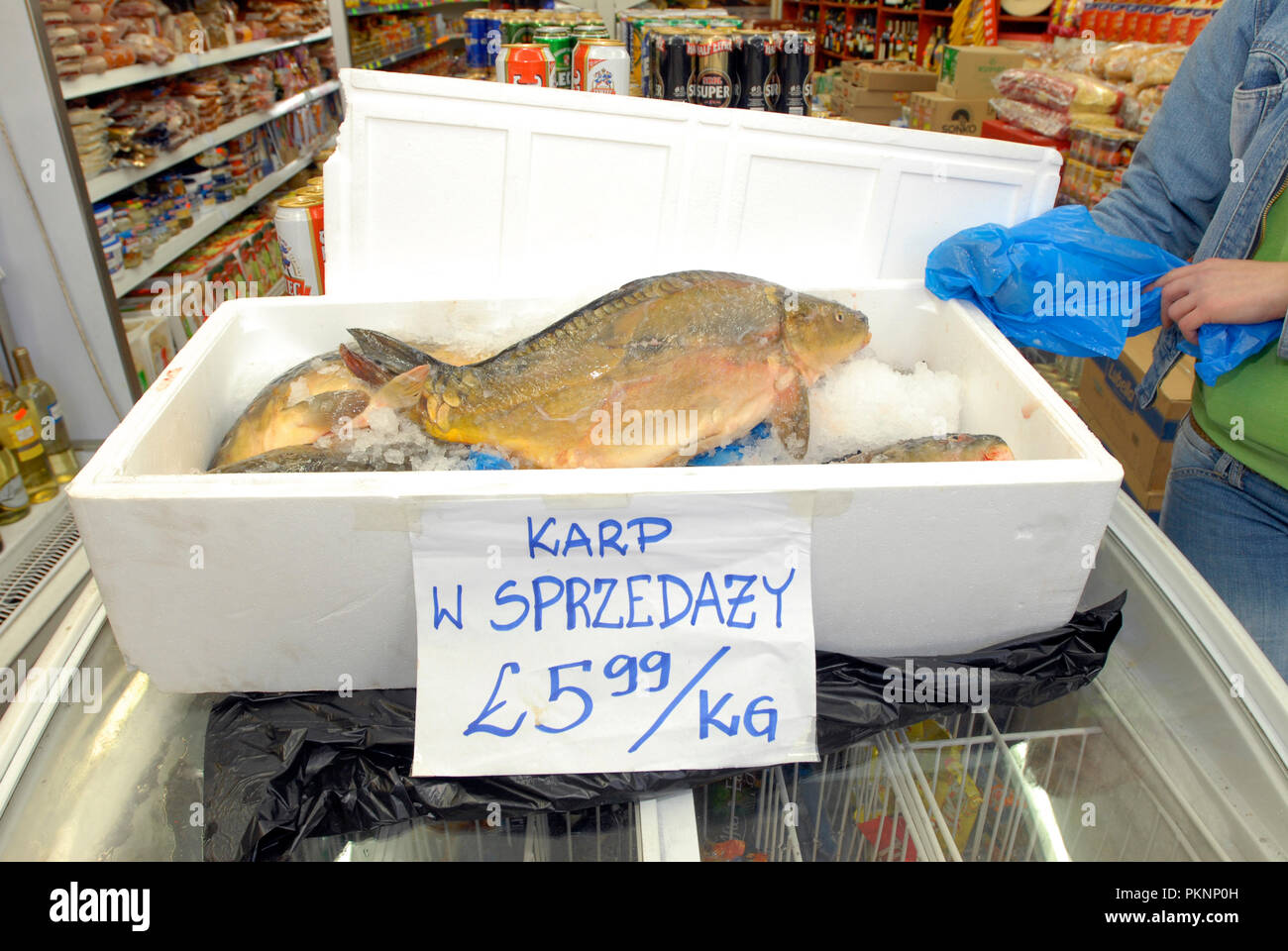 Carpa in vendita in polacco negozio di alimentari per il natale a Slough, Berks, Inghilterra. Segno dice "Carpe per vendita " è un tradizionale polacco il cibo di Natale. Decemb Foto Stock
