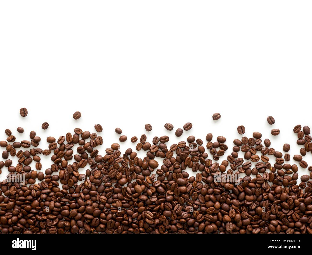 I chicchi di caffè contro uno sfondo bianco. Foto Stock