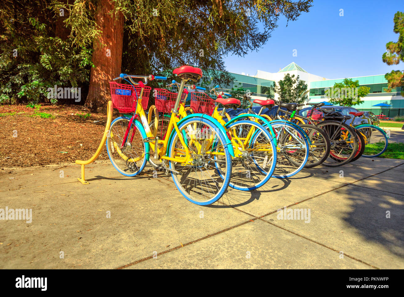 Mountain View, California, Stati Uniti - Agosto 13, 2018: colorful Google bike schierate al Charleston Campus di Google HQ in Silicon Valley vicino a Googleplex. Foto Stock