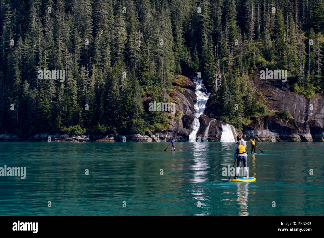 Stand Up Paddle boarding davanti a una grande cascata nel glacially scolpiti fiordo di Tracy braccio nel sud-est Alaska USA Foto Stock