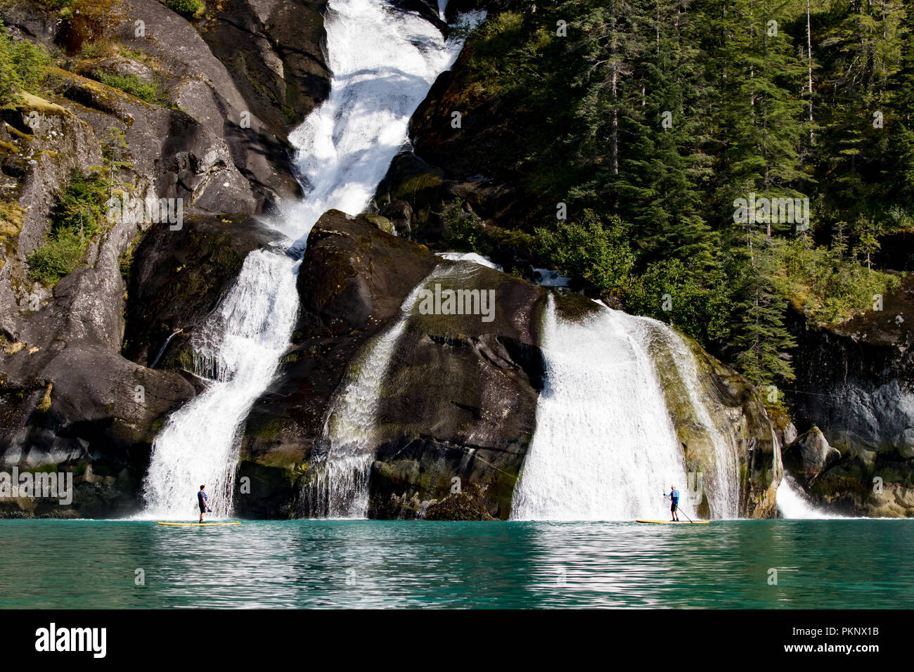 Stand Up Paddle boarding davanti a una grande cascata nel glacially scolpiti fiordo di Tracy braccio nel sud-est Alaska USA Foto Stock