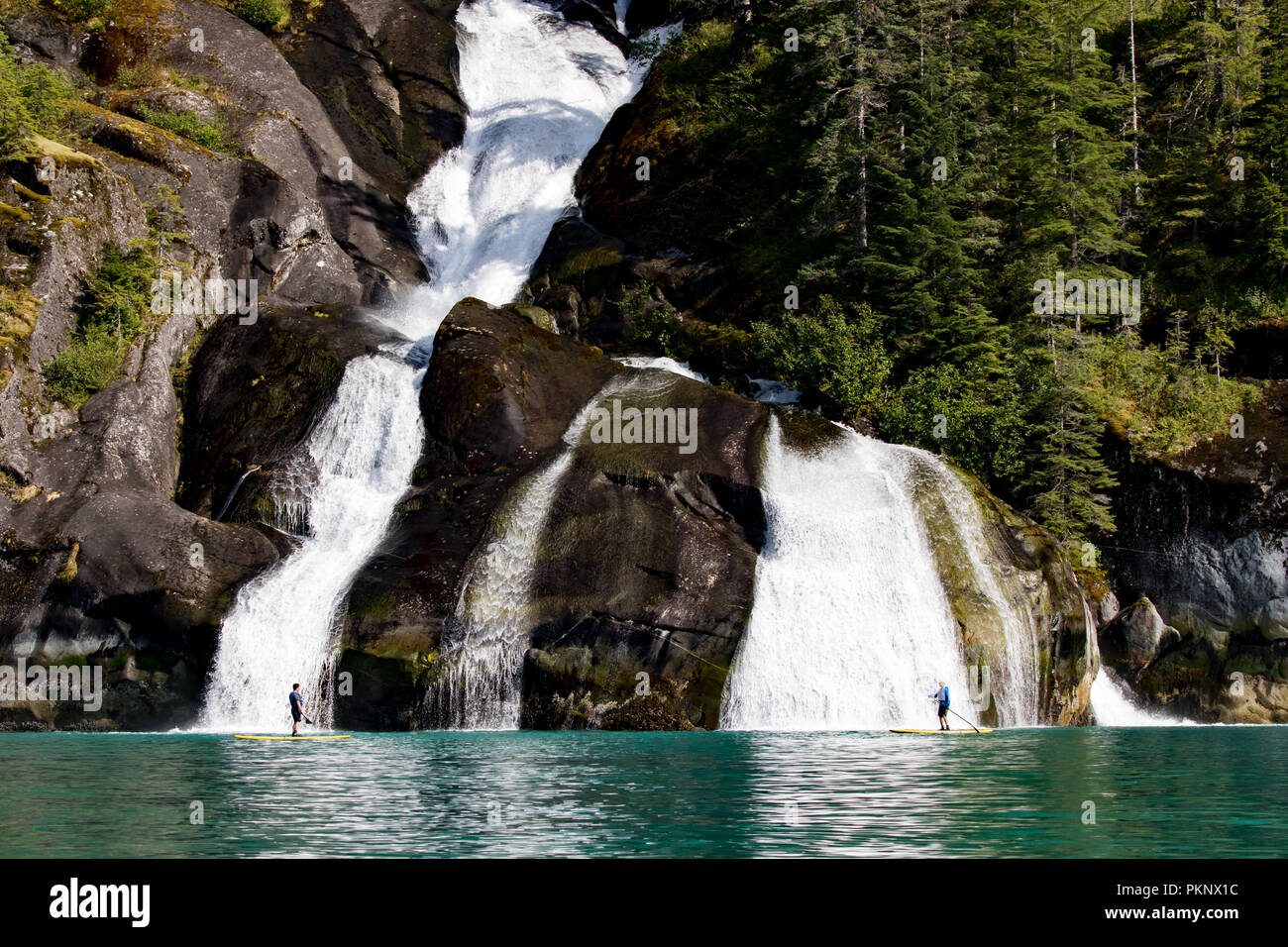 Stand Up Paddle boarding davanti a una grande cascata nel glacially scolpiti fiordo di Tracy braccio nel sud-est Alaska USA Foto Stock