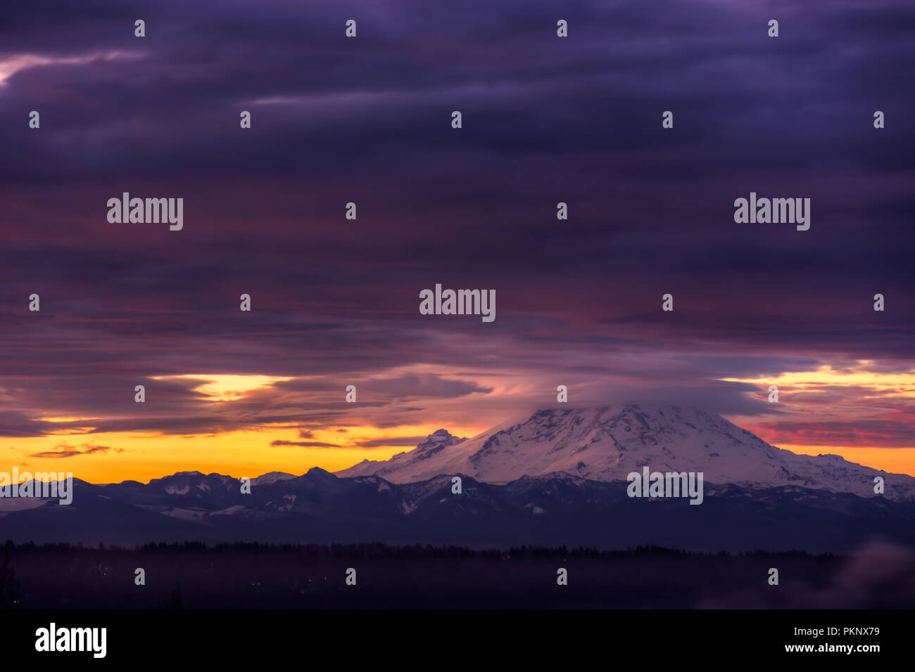 Vista del Monte Rainier vulcano nello Stato di Washington, USA, Pacific Northwest, all'aperto, Natura Foto Stock