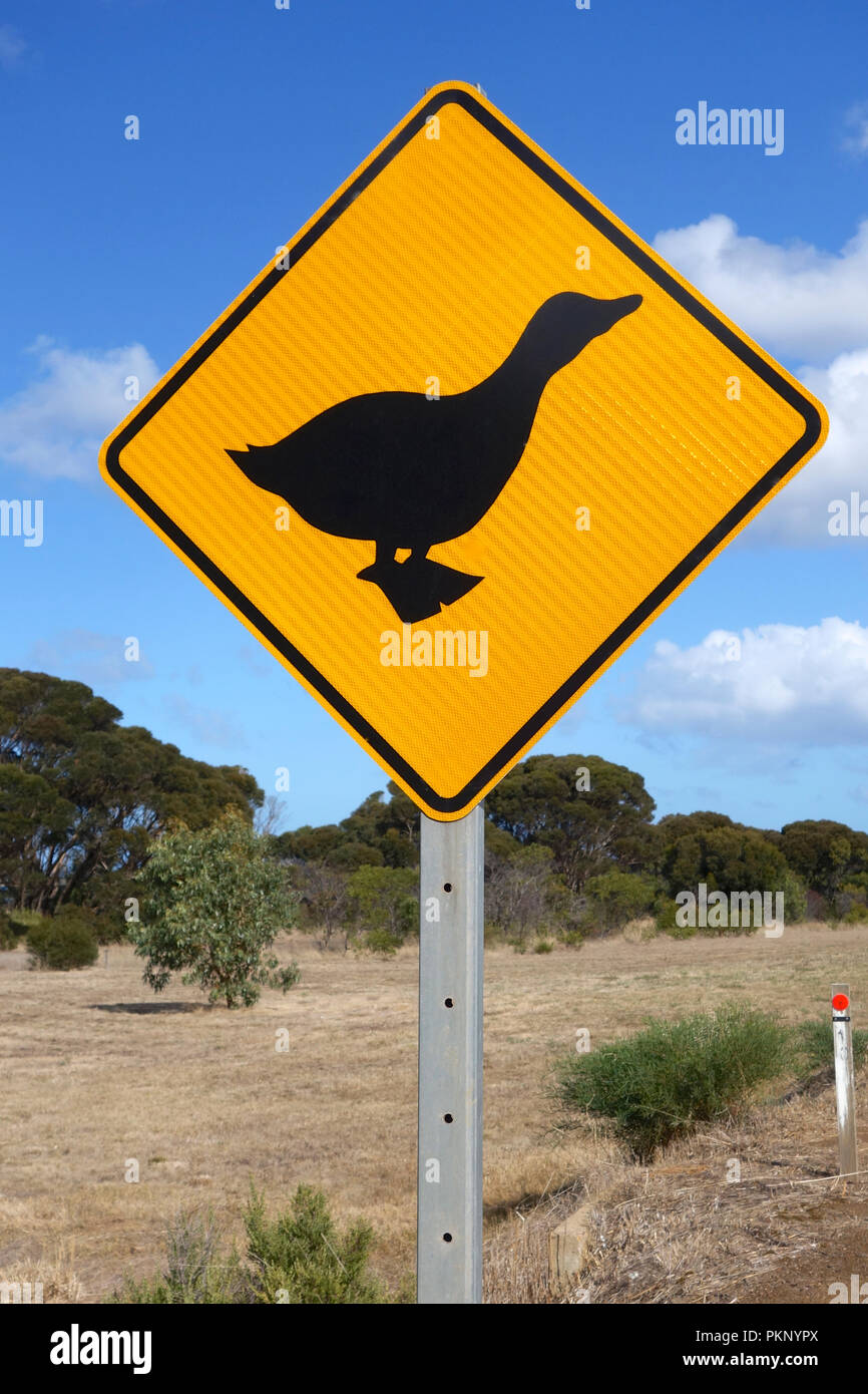 Segnaletica di oca di fianco alla strada, Australia Foto Stock