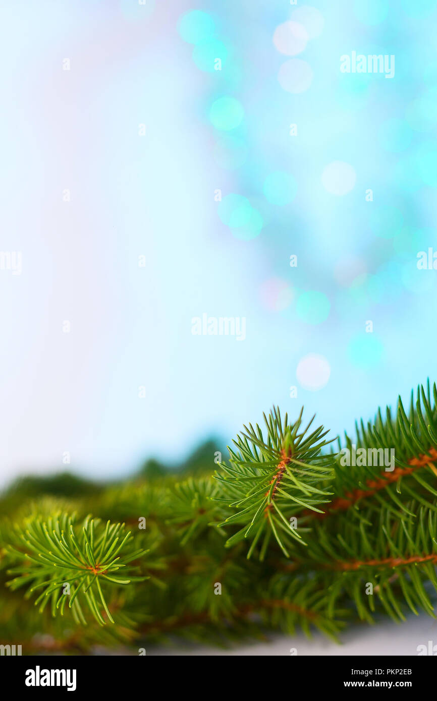 Albero di natale ramo telaio cartolina, blu e turchese bokeh texture di sfondo spazio di copia Foto Stock