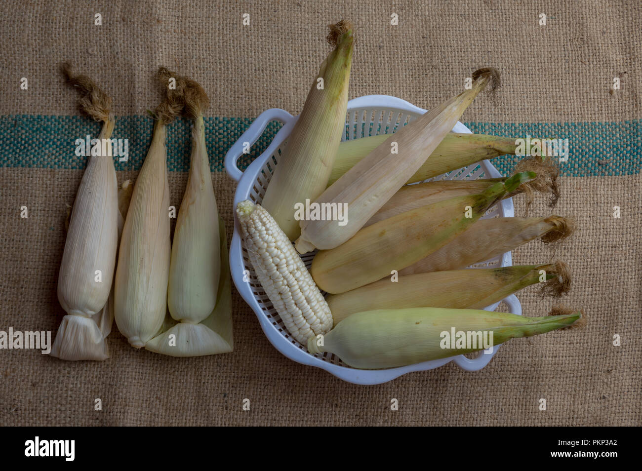 Mais indiano, orecchio di mais o granoturco farm, il verde fresco piante di mais sono in crescita, fiori, fagioli, frutta e prodotti di mais. Parte della produ agricoli Foto Stock