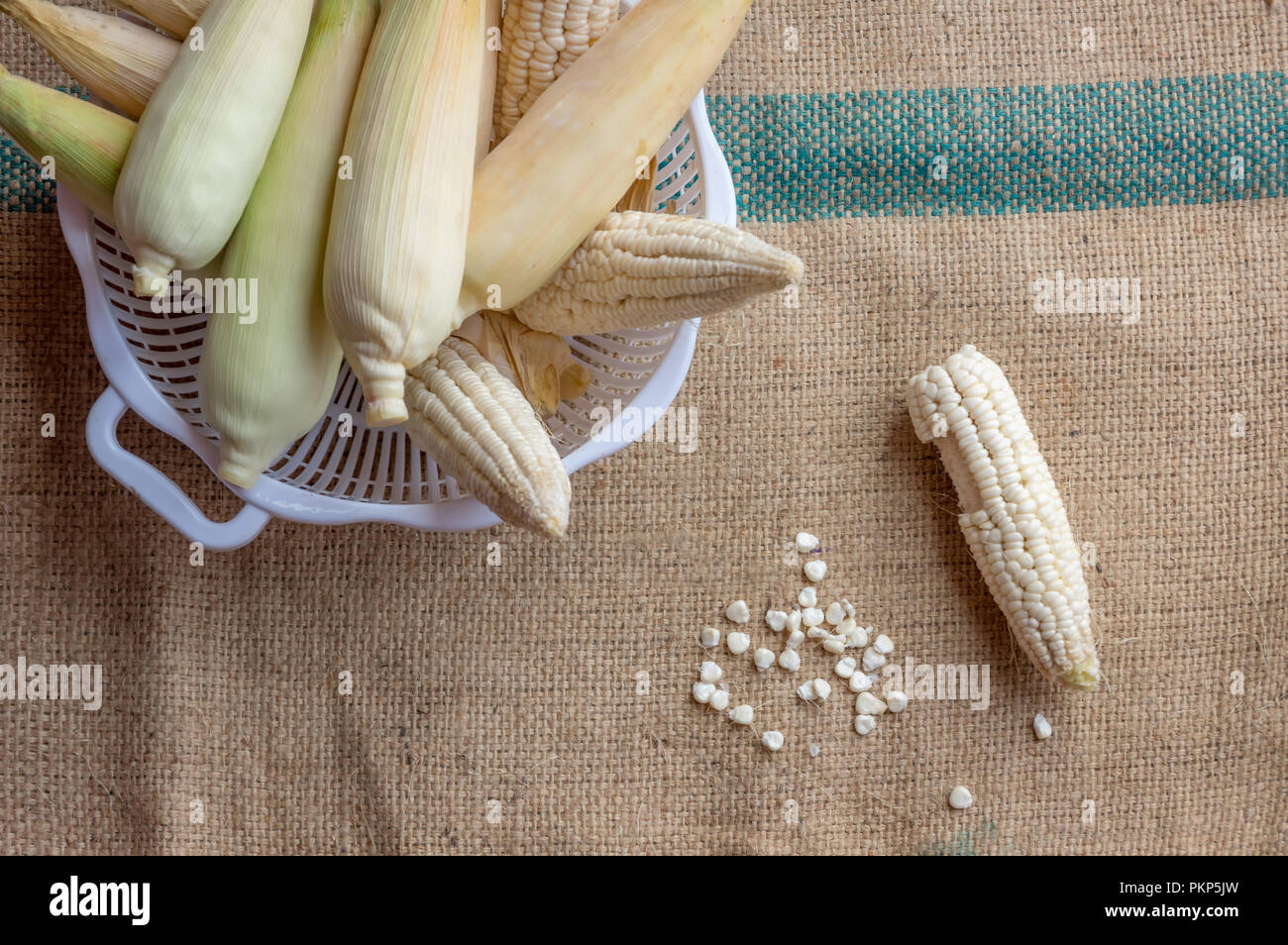 Mais indiano, orecchio di mais o granoturco farm, il verde fresco piante di mais sono in crescita, fiori, fagioli, frutta e prodotti di mais. Parte della produ agricoli Foto Stock