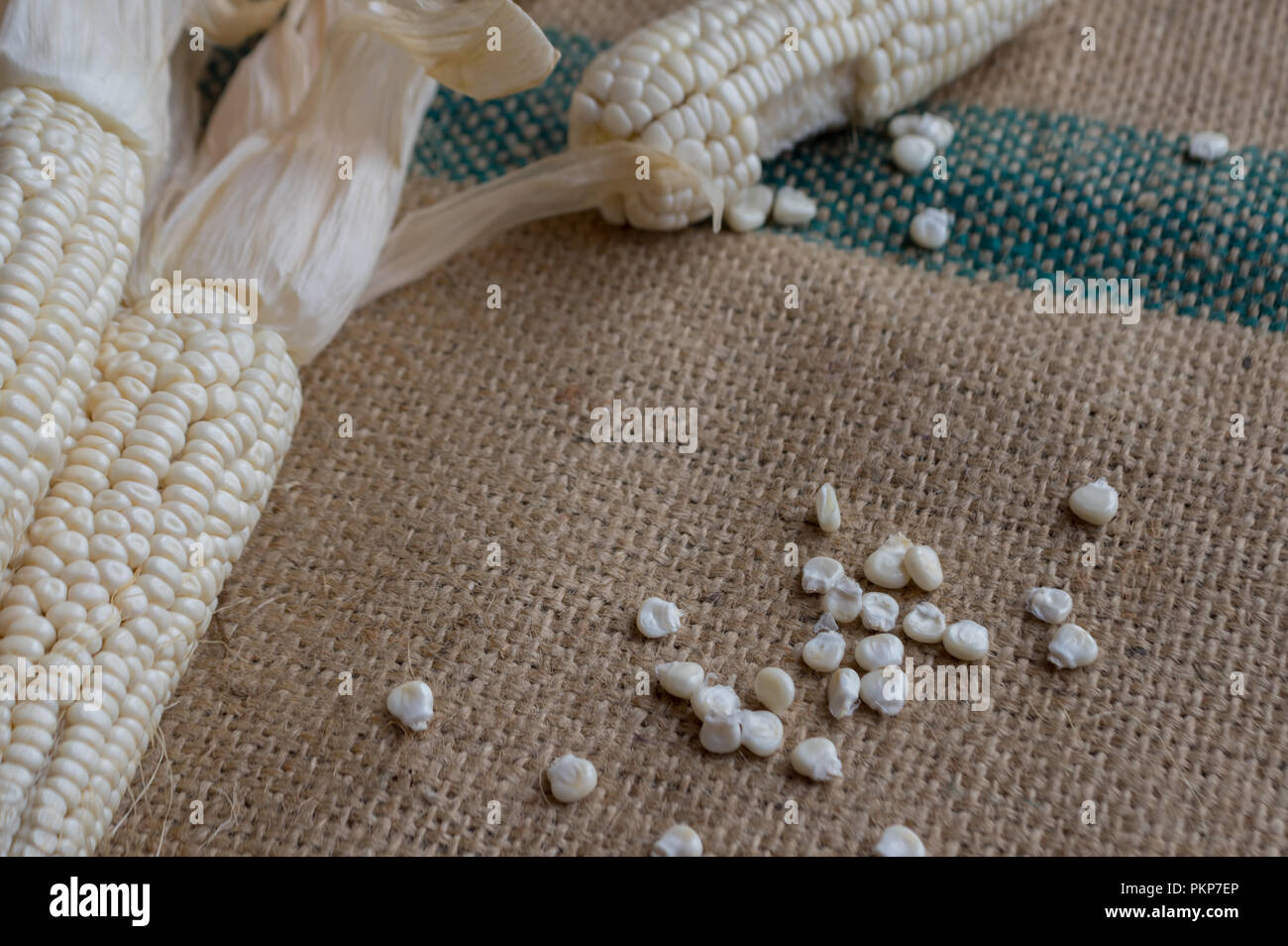 Mais indiano, orecchio di mais o granoturco farm, il verde fresco piante di mais sono in crescita, fiori, fagioli, frutta e prodotti di mais. Parte della produ agricoli Foto Stock