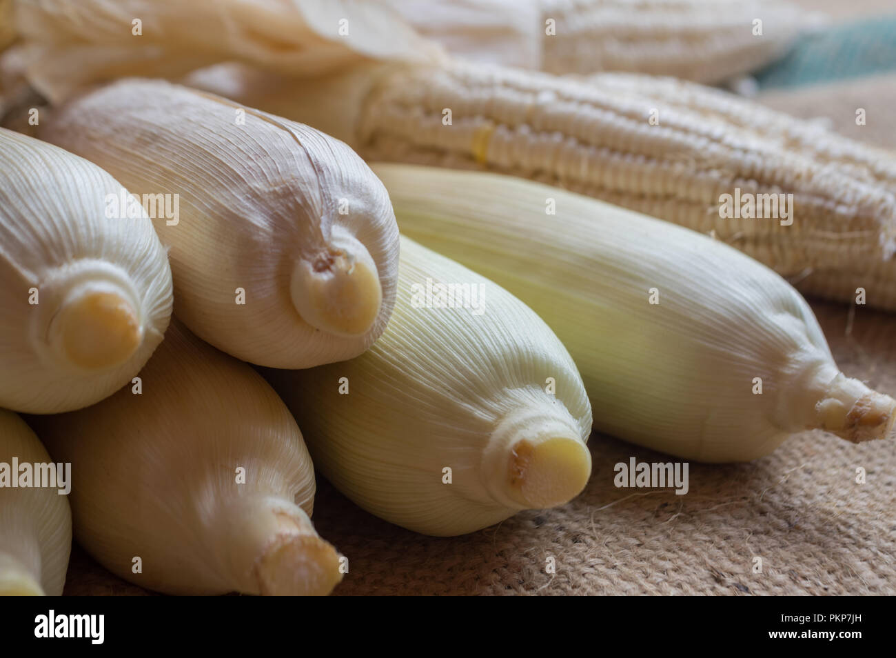 Mais indiano, orecchio di mais o granoturco farm, il verde fresco piante di mais sono in crescita, fiori, fagioli, frutta e prodotti di mais. Parte della produ agricoli Foto Stock