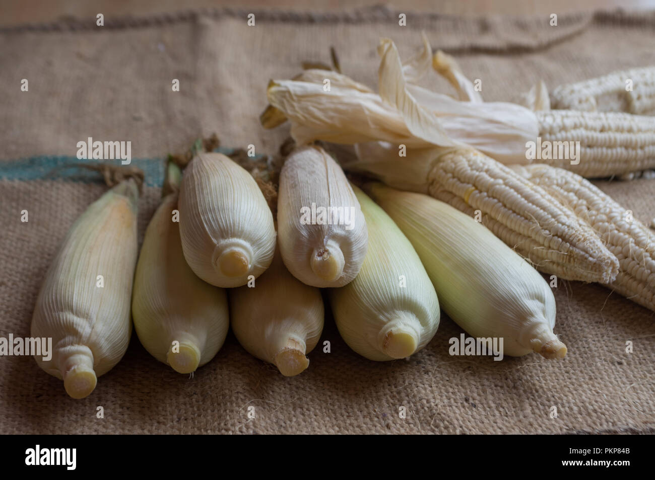 Mais indiano, orecchio di mais o granoturco farm, il verde fresco piante di mais sono in crescita, fiori, fagioli, frutta e prodotti di mais. Parte della produ agricoli Foto Stock