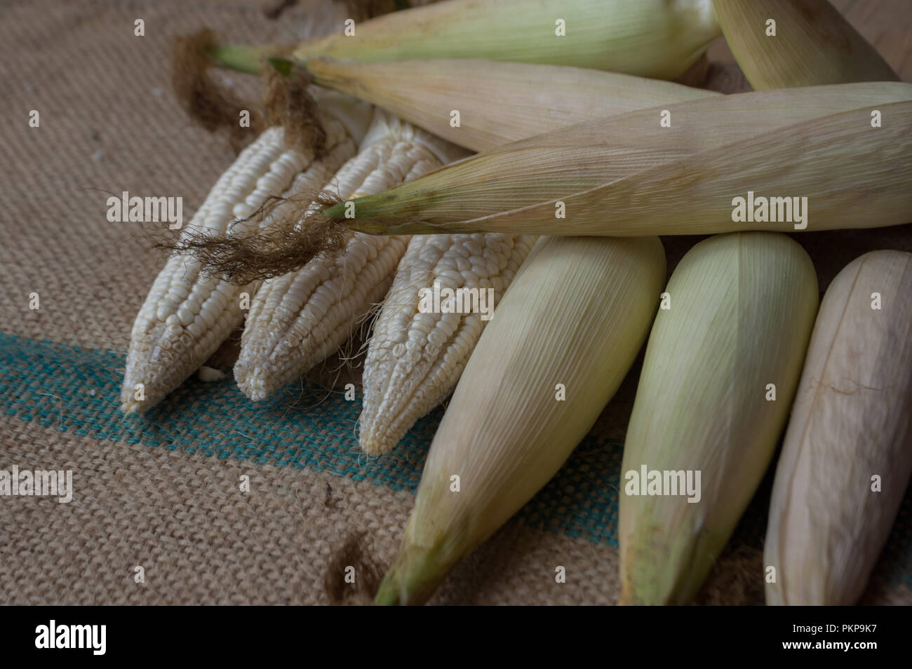 Mais indiano, orecchio di mais o granoturco farm, il verde fresco piante di mais sono in crescita, fiori, fagioli, frutta e prodotti di mais. Parte della produ agricoli Foto Stock