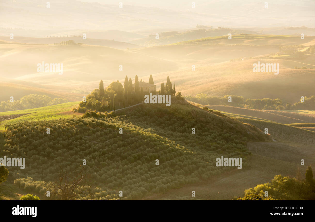 Foschia mattutina presso il famoso Podere Belvedere in Val d'Orcia in Toscana, Italia Europa UE Foto Stock