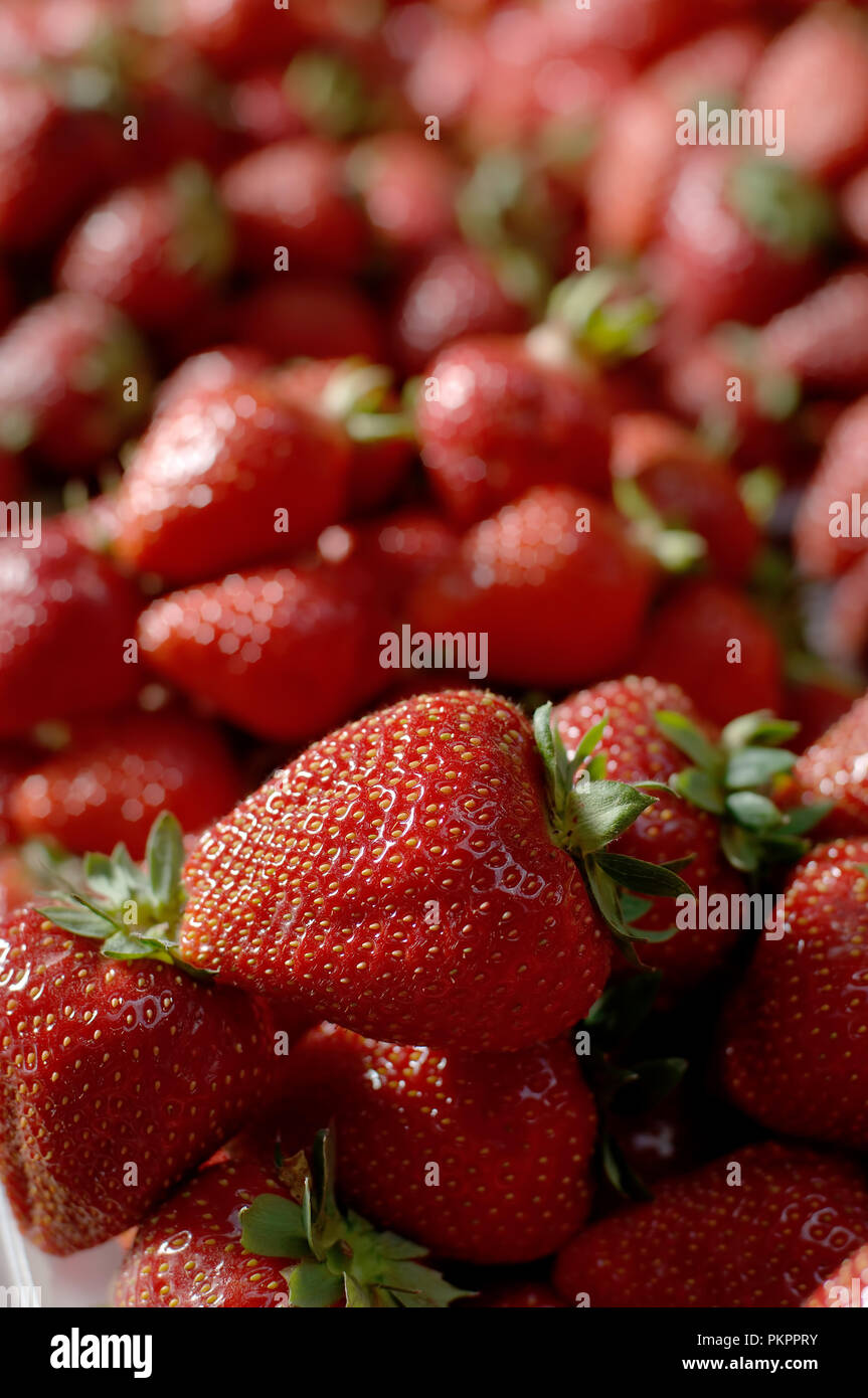 Fragole mature con una prospettiva di close-up Foto Stock