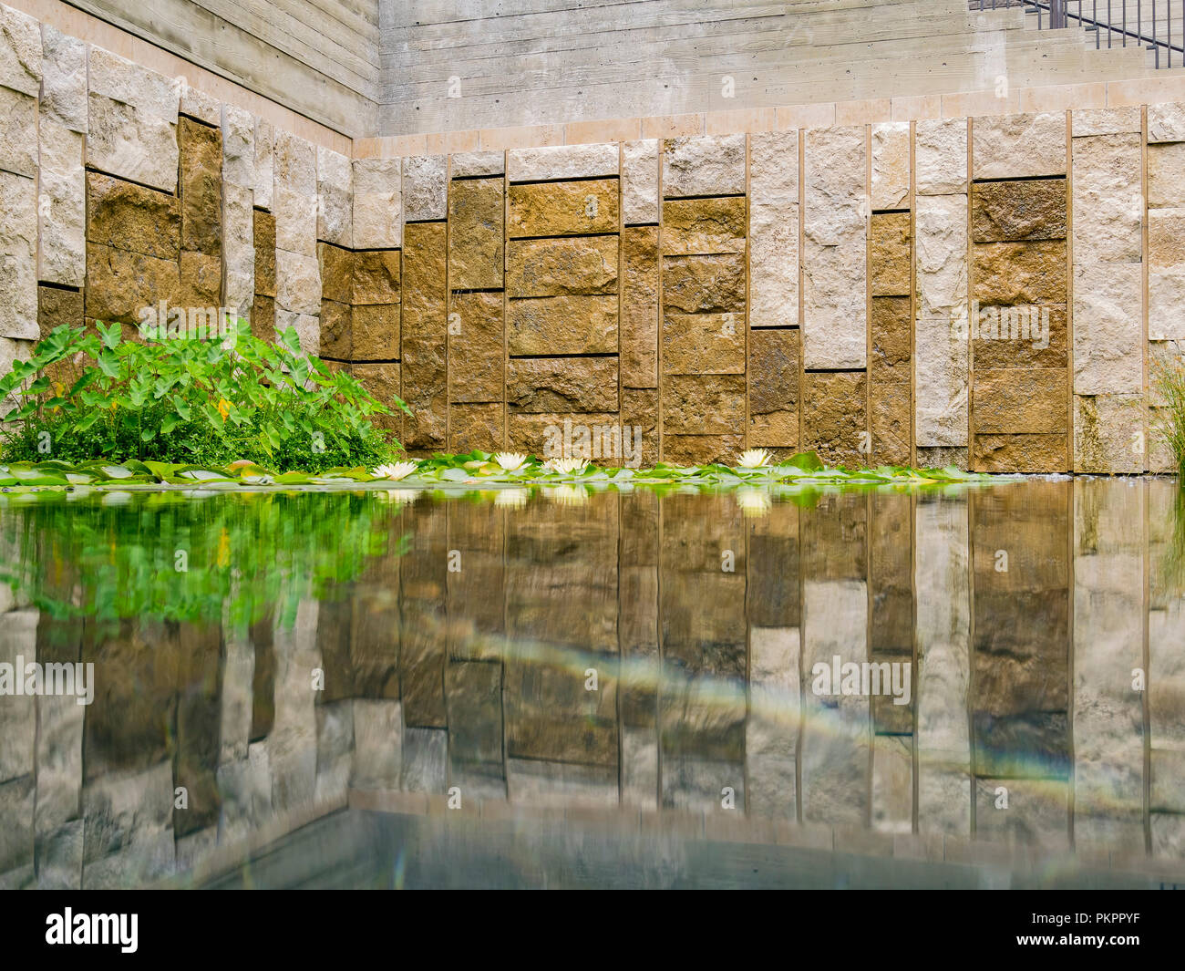 La bellissima ninfee in Villa Getty di Los Angeles in California Foto Stock