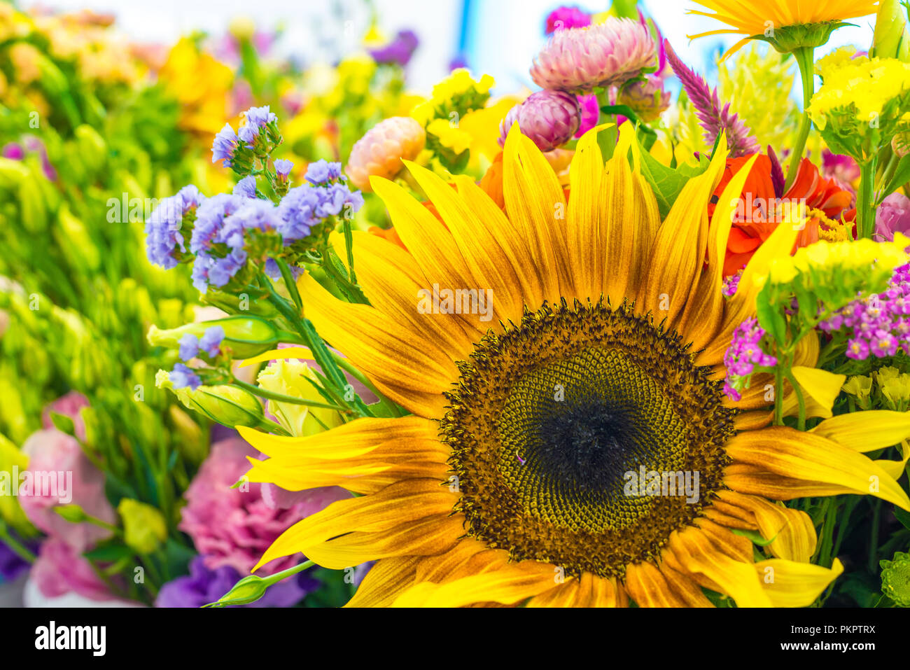 Un medley di fiori Foto Stock