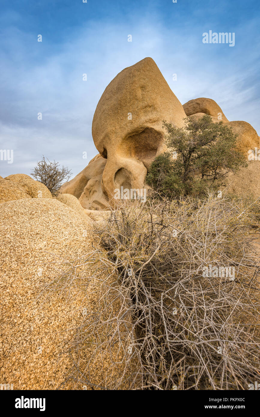 Le formazioni rocciose e cespugli a Joshua Tree National Park, California, Stati Uniti d'America Foto Stock