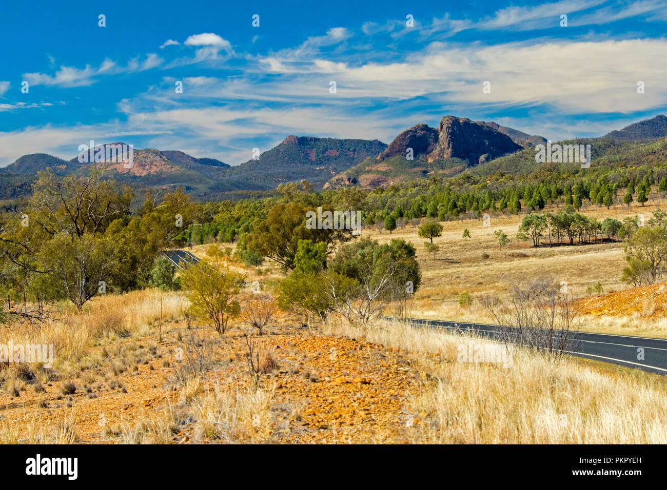 Colorato paesaggio australiano con la strada che conduce attraverso il golden erbe & boschi a picchi di Warrumbungle National Park salga nel cielo blu in NSW Foto Stock