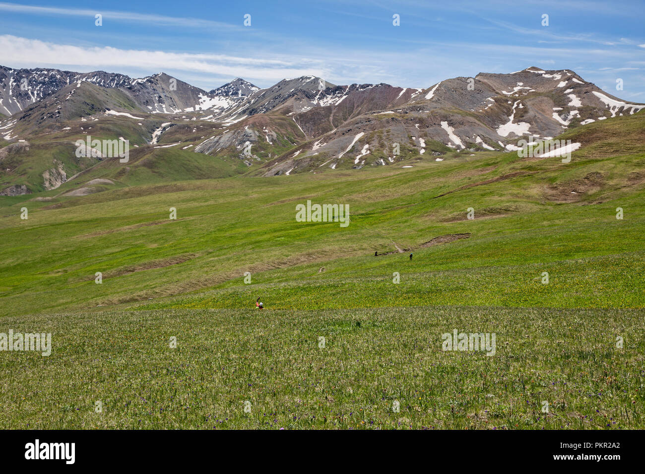 Il trekking croce alta altitudine pascolo con sorgenti bacino per l'Unità Centrale Abitacolo Kashka valle in background, Loop Keskenkyia trek, Jyrgalan, Kirghizistan Foto Stock