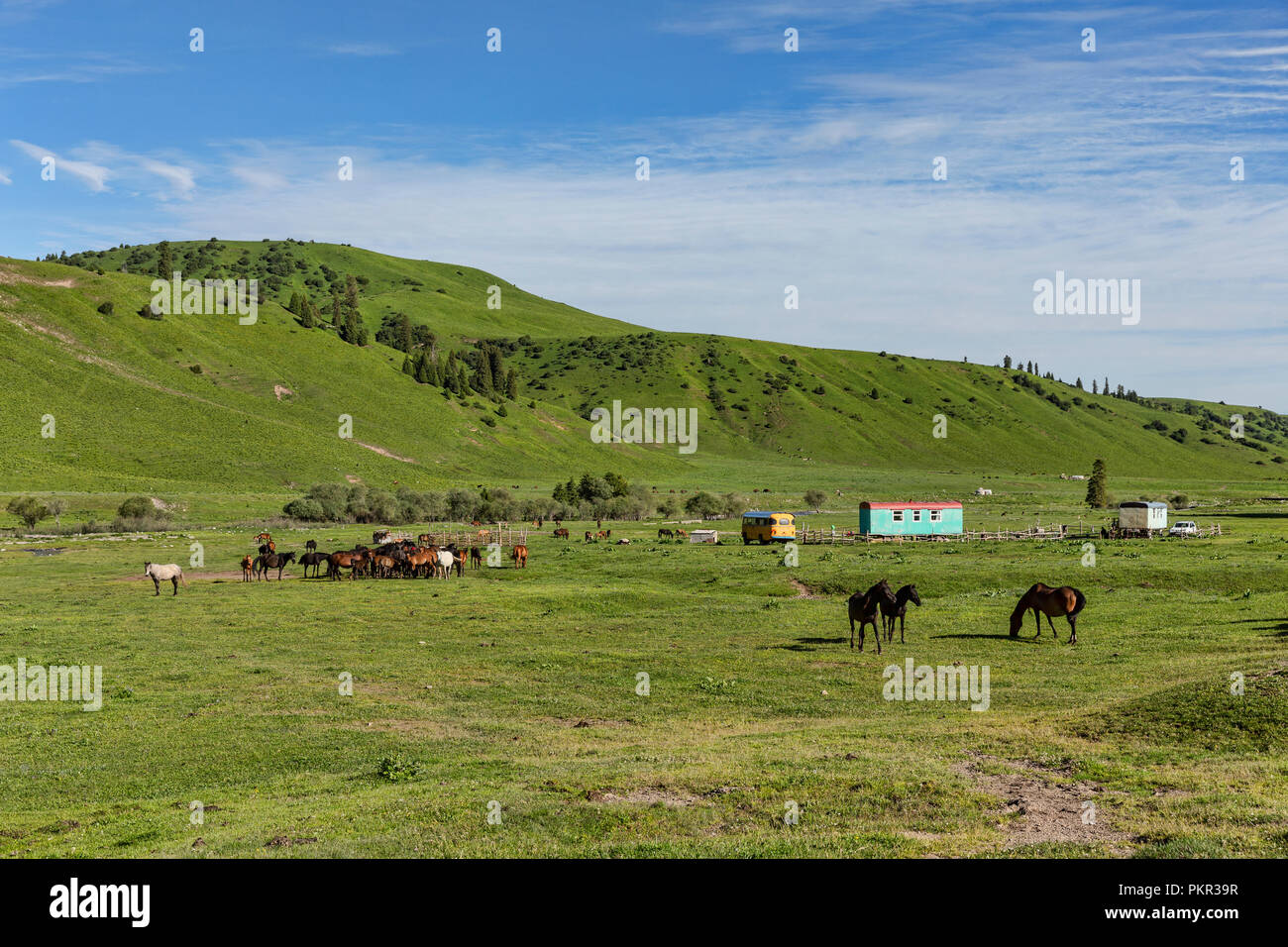 Soviet vecchio blu e rosso mobile home in pascolo del Kirghizistan con i cavalli in Tyup River Valley, Loop Keskenkyia trek, Jyrgalan, Kirghizistan Foto Stock