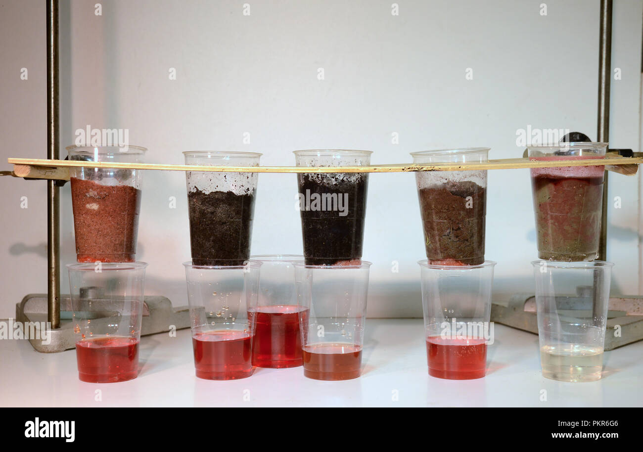 Acqua colorata viene versata attraverso 5 campioni di suolo:(l>r)sabbia, terreno sabbioso, torba, humus e argilla. I tipi di suolo la capacità di memorizzare e il filtro acqua (per la pe Foto Stock