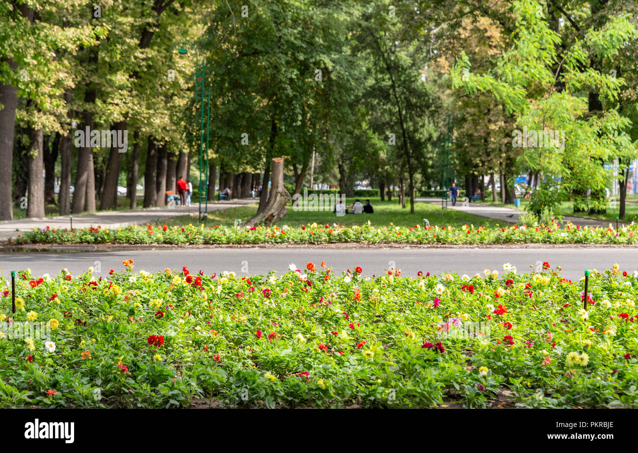 Le immagini dei parchi a Bishkek, la meravigliosa, walkable capitale del Kirghizistan. Foto Stock