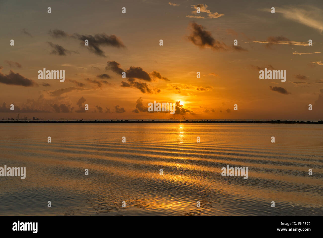 Sunrise over Mustang Island e Corpus Christi Bay, vista dal Corpus Christi Marina, Texas, Stati Uniti d'America Foto Stock