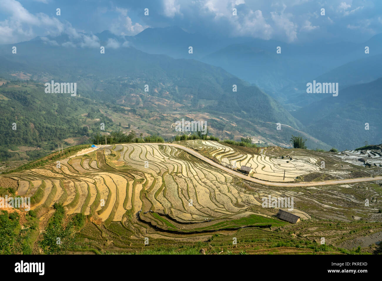 L'immagine è bella come la pittura a olio di campo a schiera in um Cang Chai in Yen Bai Provincia, Vietnam Foto Stock