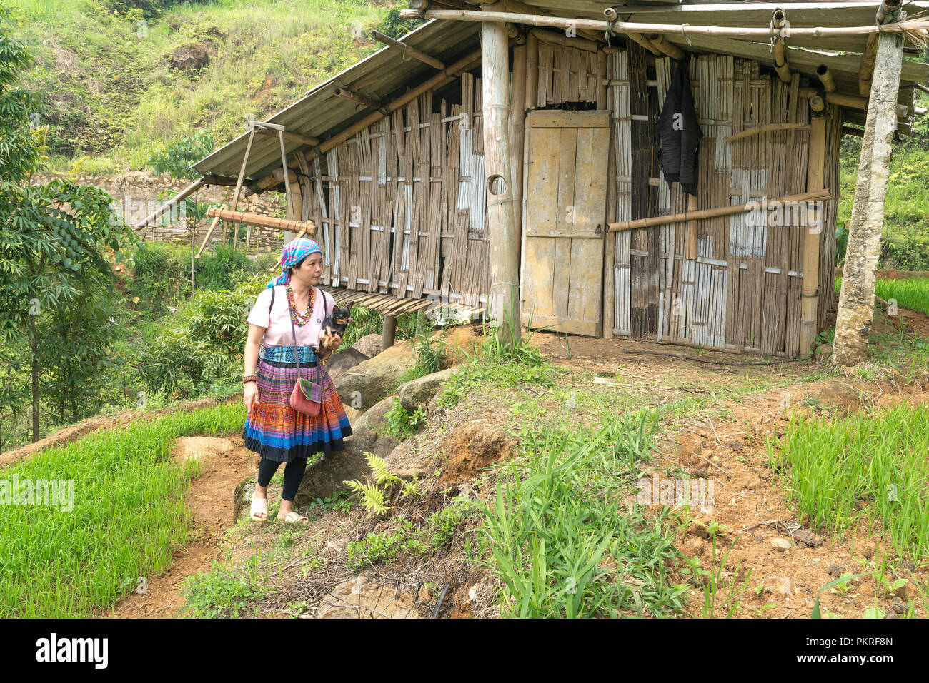 H'MONGS donna etnica in splendido costume tradizionale con scena di nebbia in Sa Pa town, Lao Cai provincia, Vietnam Foto Stock