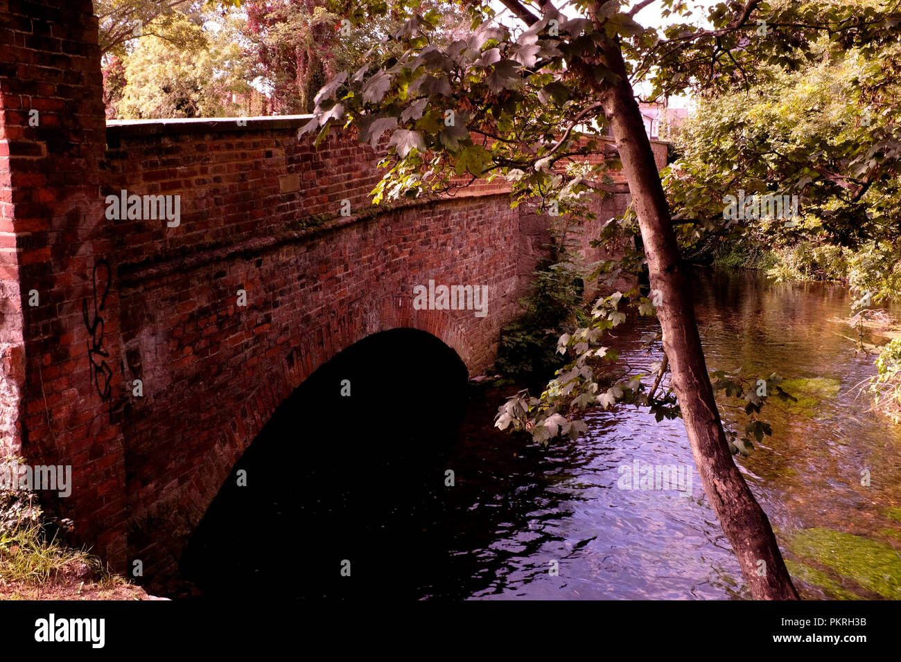 Grande Fiume stour e ponte vecchio nella città di Canterbury East Kent REGNO UNITO Settembre 2018 Foto Stock