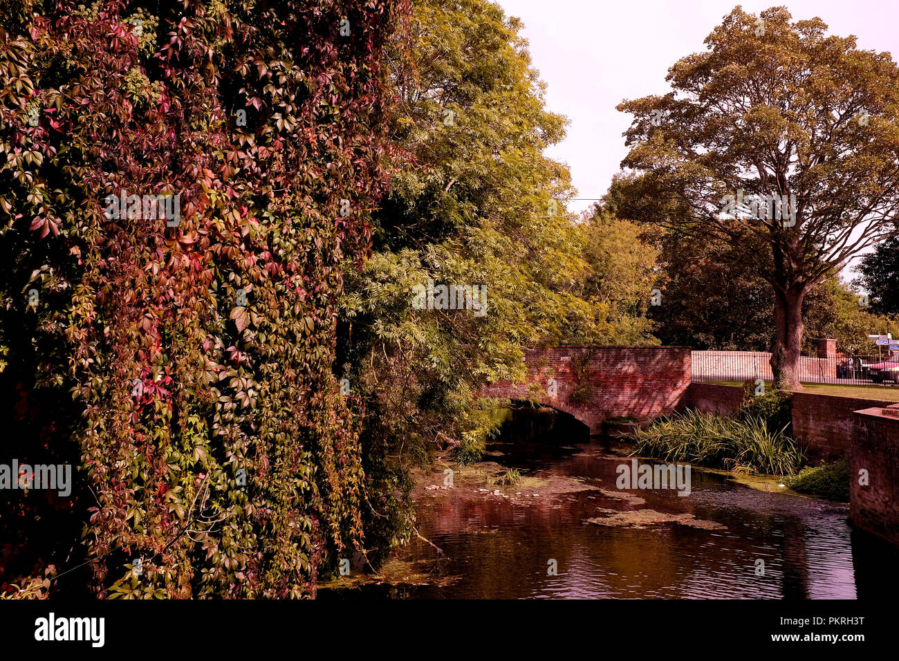 Grande Fiume stour e ponte vecchio nella città di Canterbury East Kent REGNO UNITO Settembre 2018 Foto Stock