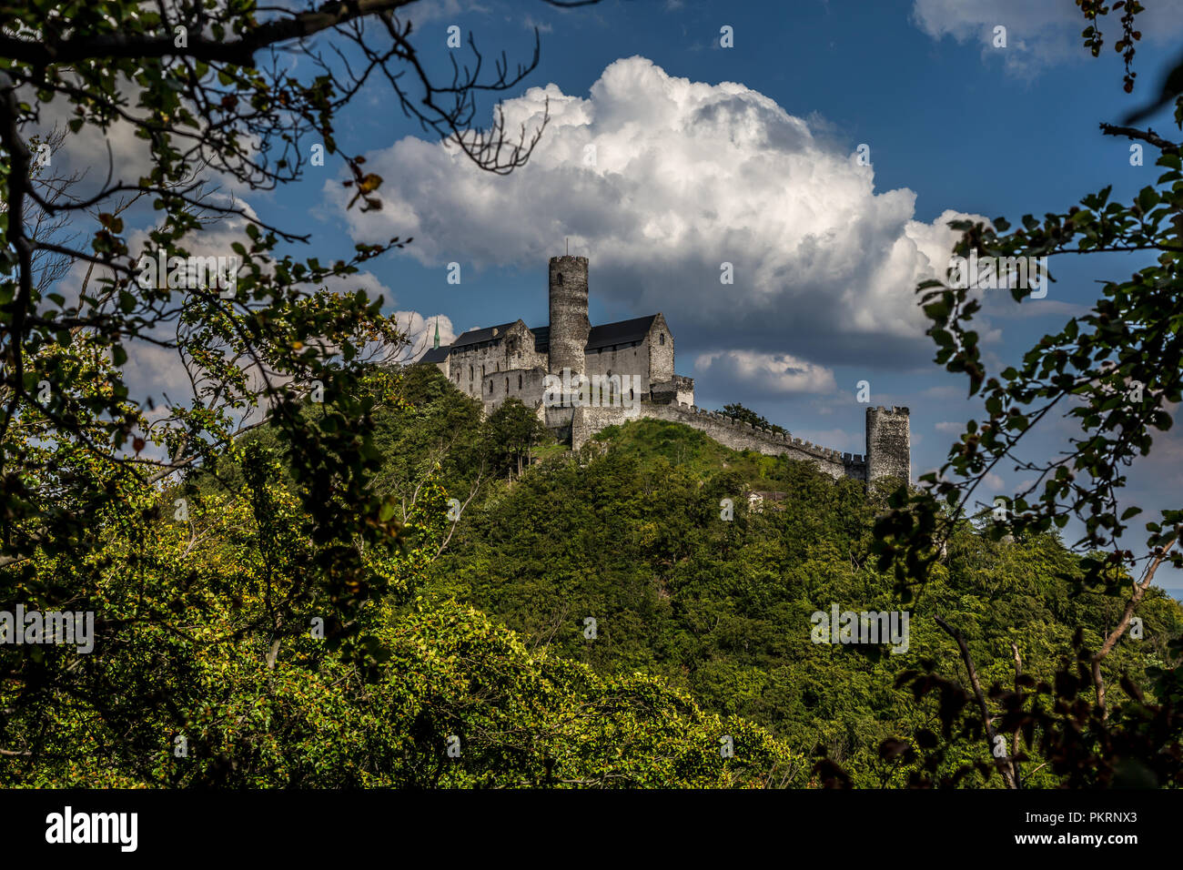 La posizione dominante delle Terre Ceche - Velky Bezdez collina con le rovine di un notevole castello reale dalla seconda metà del XIII secolo costruito da Přemysl Ot Foto Stock