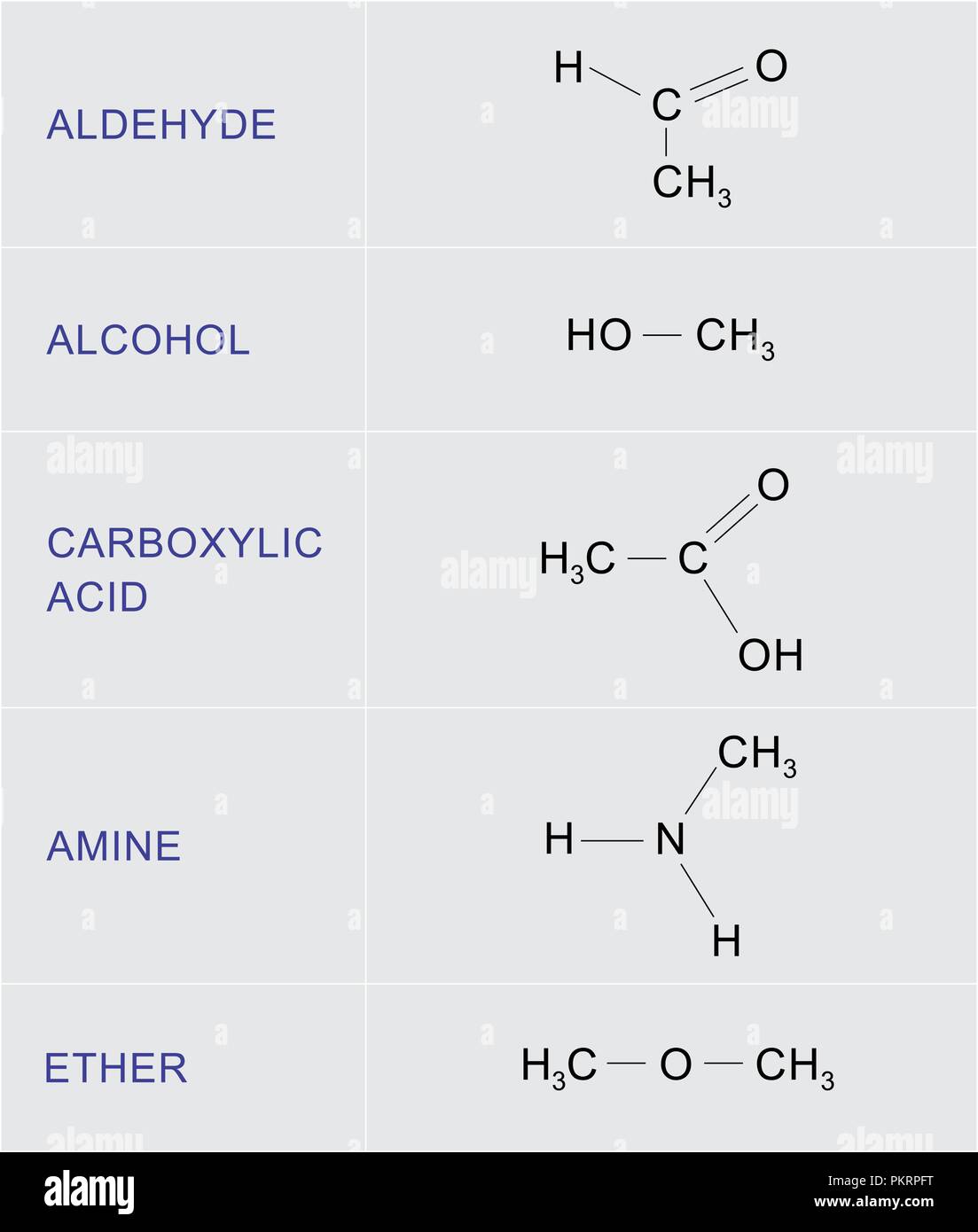 Illustrazione di una tabella con esempi di organico funzioni chimiche Illustrazione Vettoriale