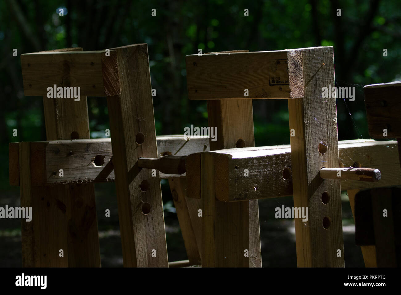 Rasatura cavalli per macchine per la lavorazione del legno verde Foto Stock