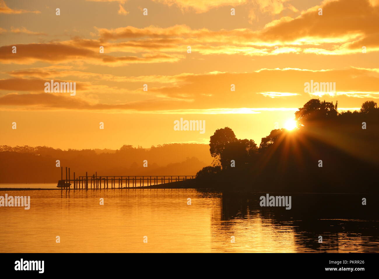Tramonto Dorato a Aroha Island - Nuova Zelanda Foto Stock
