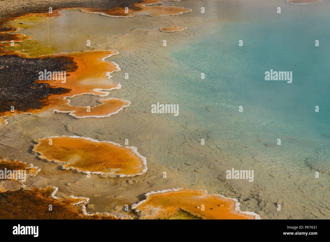 Yellowstone hot spring - close-up - acqua turchese, giallo macchie di batteri. Astrazione naturale Foto Stock