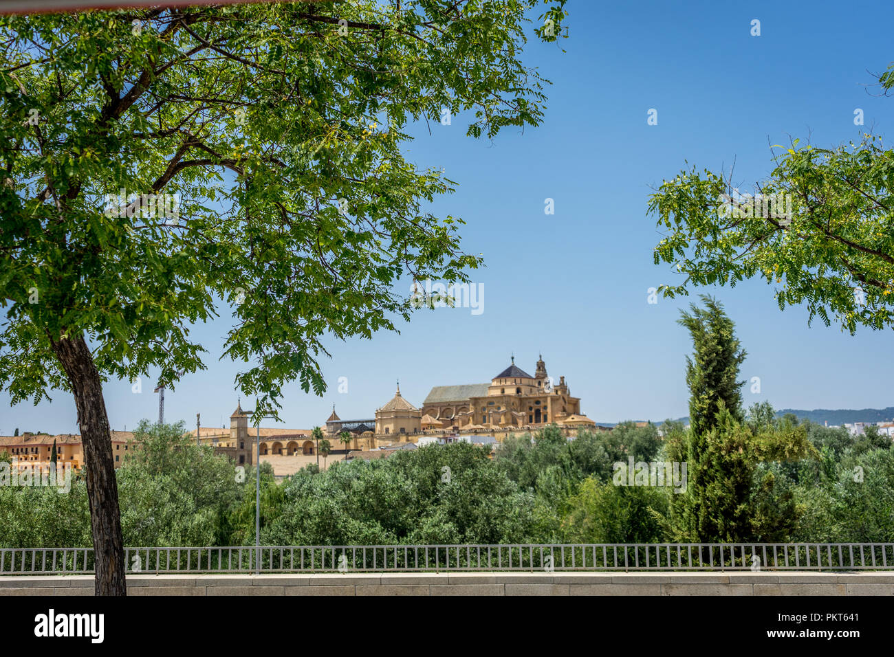 La Mezquita de Córdoba,la Grande Moschea di Cordova, Moschea-cattedrale,Mezquita dall altro lato del fiume Foto Stock