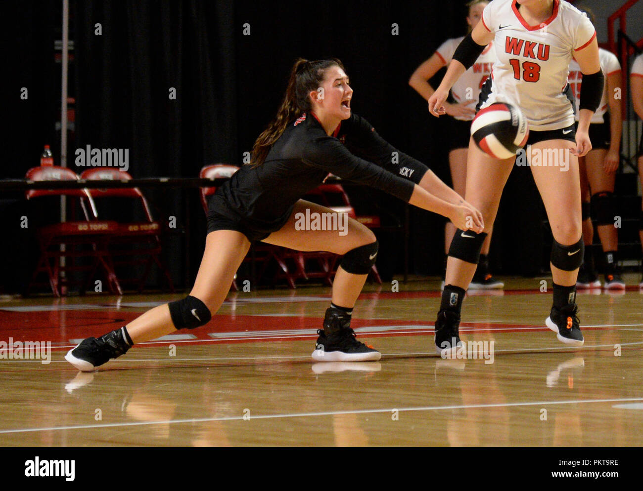 Settembre 14, 2018 Western Kentucky Hilltoppers Rachel Anderson (4) ritorna servire in un match tra la #22 Washington State Cougars e la Western Kentucky Hilltoppers al E.A. Farlo Arena a Bowling Green, KY. WSU tiene giù WKU 3-1 Fotografo: Steve Roberts. Foto Stock