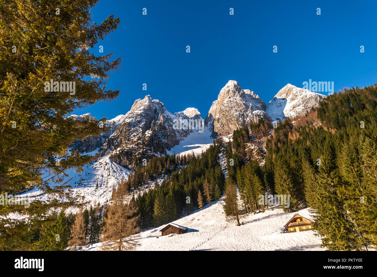 In inverno il paesaggio di montagna a Gosausee, Austria Foto Stock