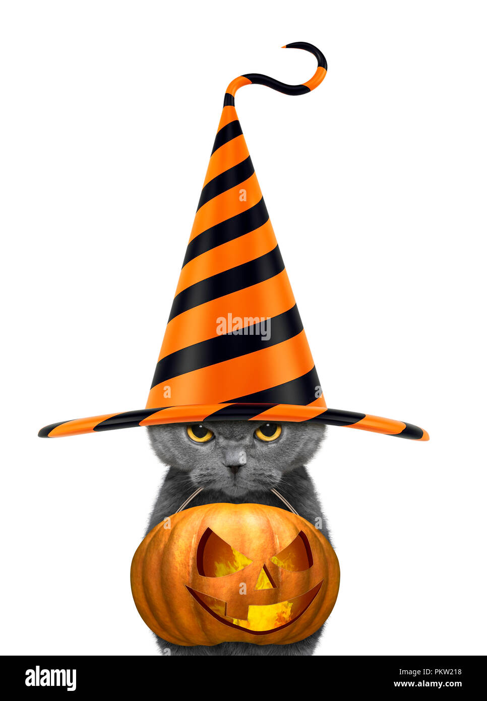 Cute cat in funny hat tenere la zucca di Halloween in bocca - isolato su bianco Foto Stock