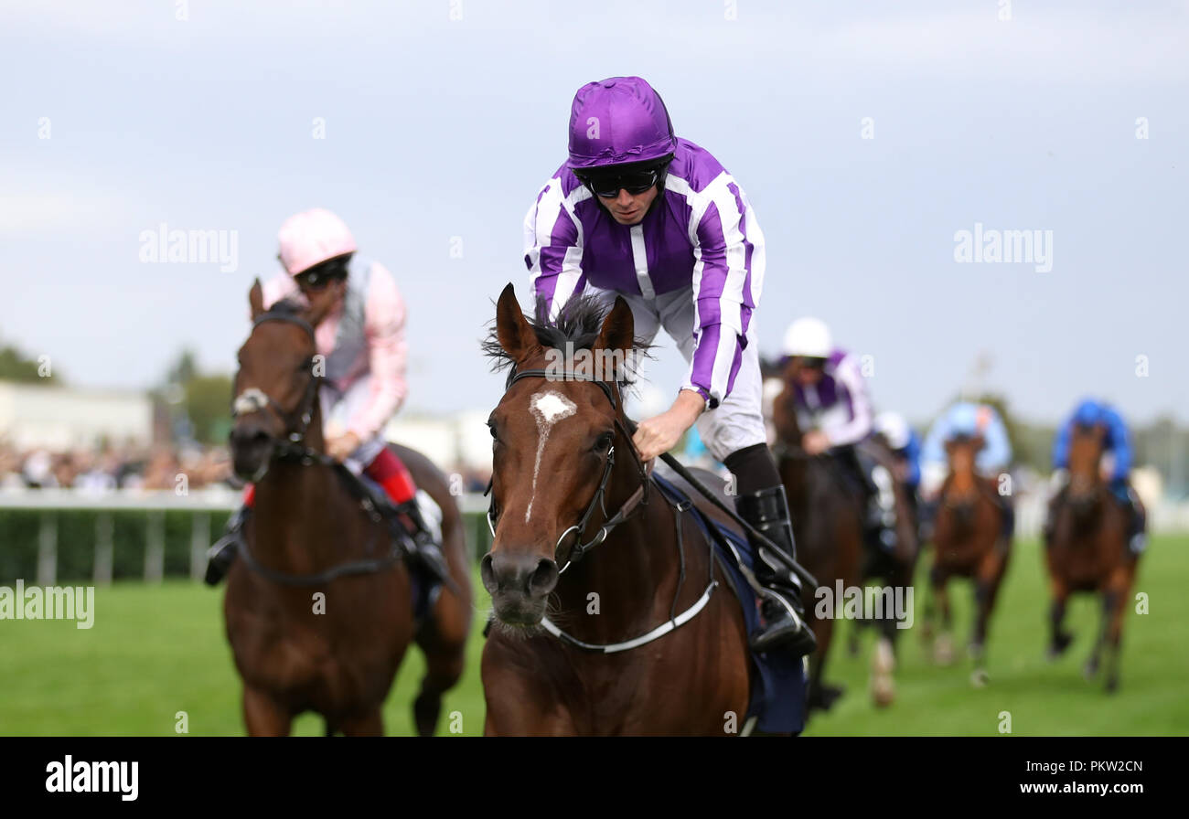 I Giardini di Kew cavalcato da Ryan Moore vince la William Hill St Leger Stakes durante il giorno quattro del 2018 William Hill St Leger Festival a Doncaster Racecourse, Doncaster. Foto Stock