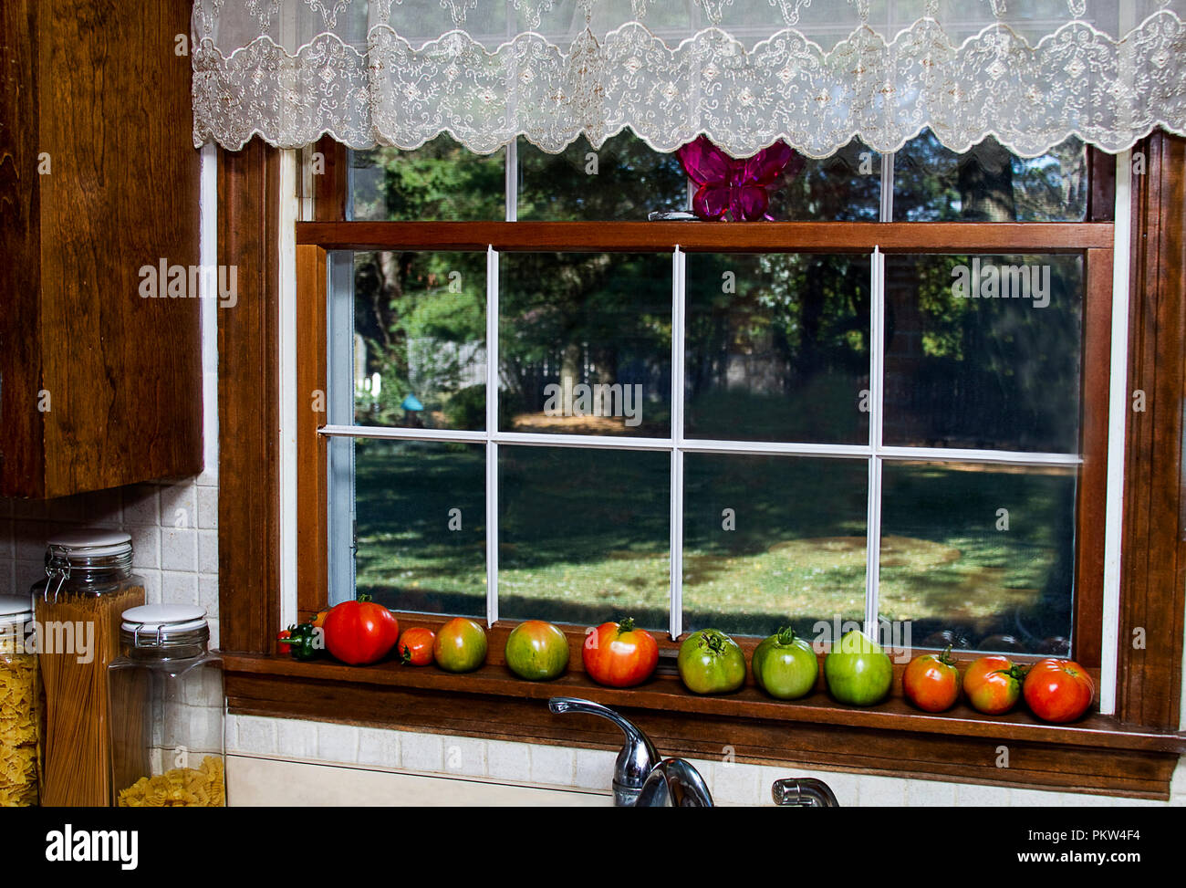 Paese davanzale con una fila di pomodori attraverso di esso nel processo di cui viene eseguito il rip. Dolce di pizzo overhead cantonale. Riquadri della finestra. Foto Stock