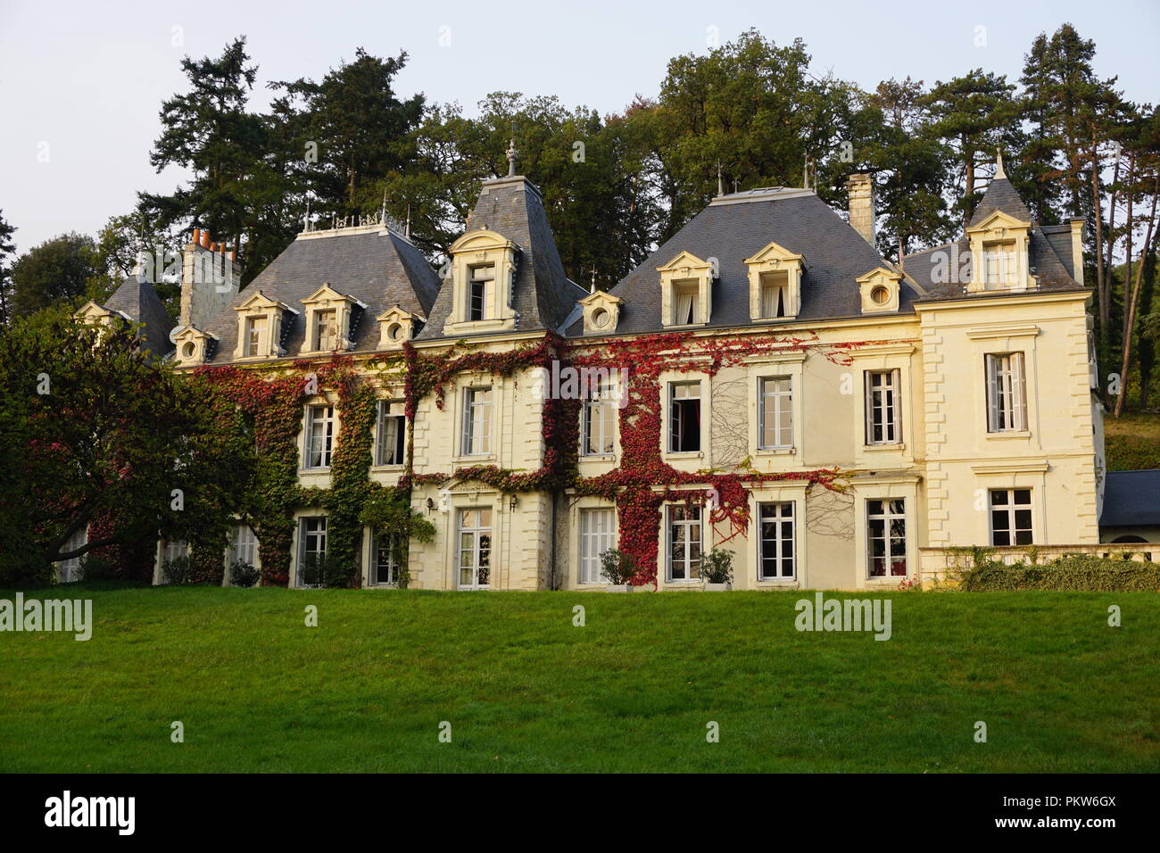 Il vecchio paese di pietra castello con il verde e il rosso ivy crescente selvatici sulla facciata nel parco nella Valle della Loira, Francia Foto Stock