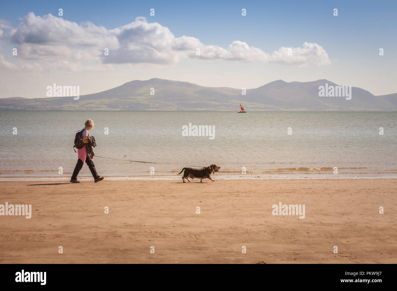 La donna a piedi un cane su una tranquilla spiaggia di sabbia, Anglesey, Galles REGNO UNITO Foto Stock