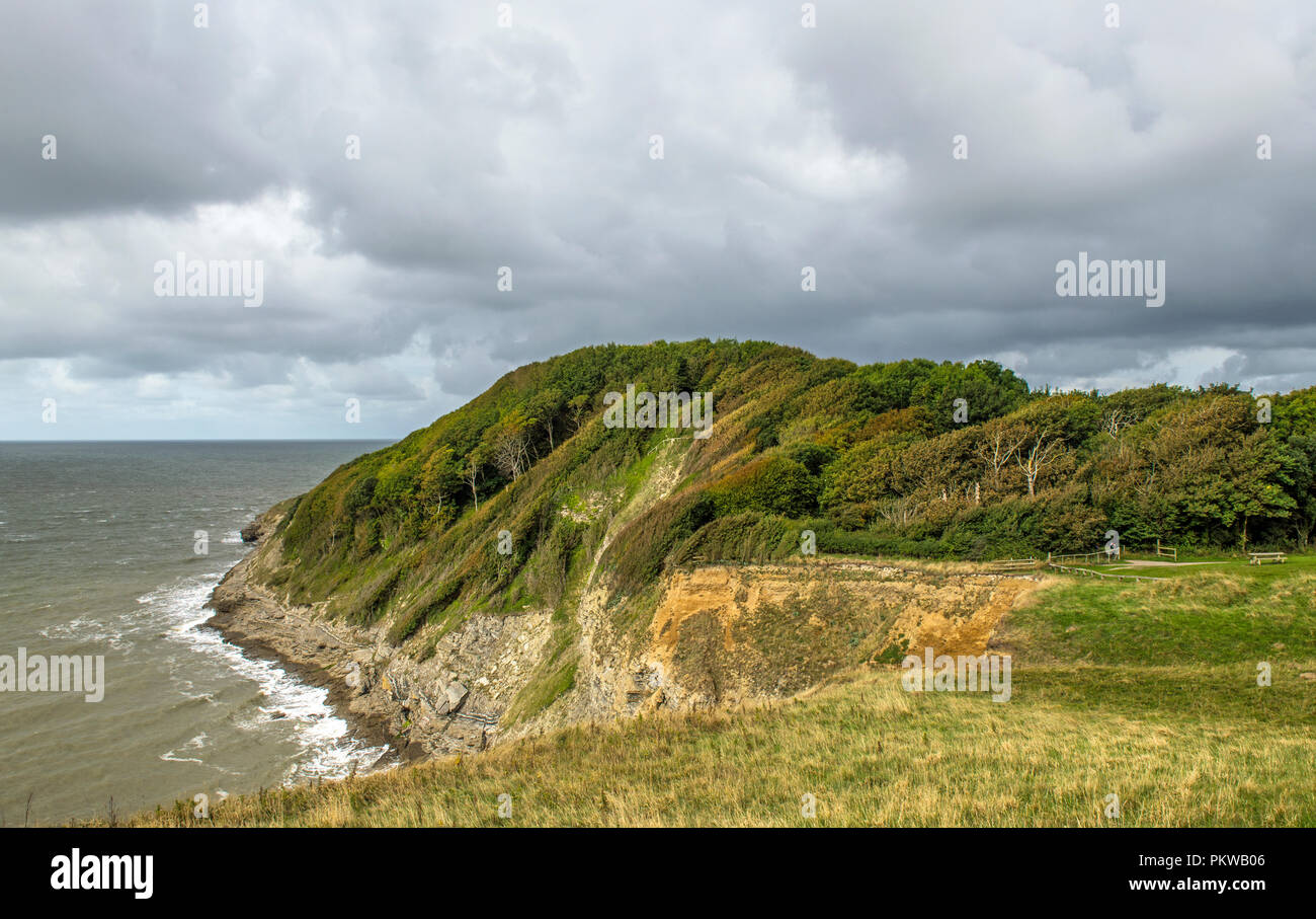 Glamorgan Heritage Coast appena ad est della baia di Dunraven Southerndown, Vale of Glamorgan Galles del Sud Foto Stock