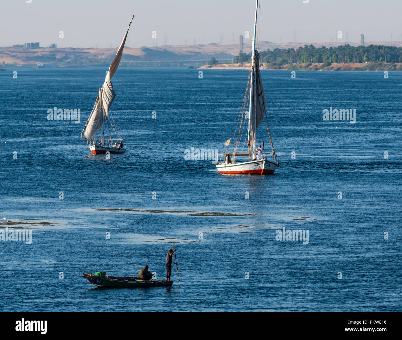 Tradizionale feluca e barche a vela con locale egiziano gli uomini tramite rete da pesca dalla piccola barca a remi, Fiume Nilo, Aswan, Egitto, Africa Foto Stock
